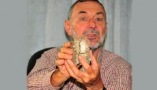 HOMINID ORIGINS: RIFT CENTERED HYPOTHESES AND HOW TO ESCAPE THEM