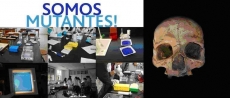 Somos todos Neandertais? O que nos dizem as novas evidências fósseis e genéticas.