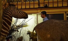 VISITA À GALERIA DE ZOOLOGIA