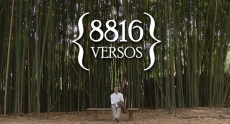 8816 VERSOS