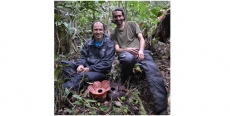 SEMINÁRIO EM ECOLOGIA E EVOLUÇÃO