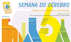 CÉREBRO EM CENA