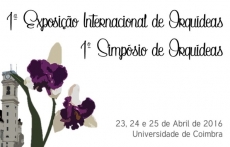 ORQUÍDEAS