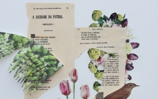 Bird-Watching: Visualizações da Influência da "Canção do Exílio"