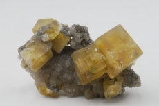 XXII  FEIRA INTERNACIONAL DE MINERAIS, GEMAS E FÓSSEIS DE COIMBRA