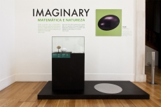 IMAGINARY - MATEMÁTICA E NATUREZA