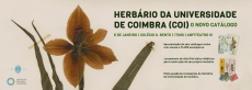 HERBÁRIO DA UNIVERSIDADE DE COIMBRA 