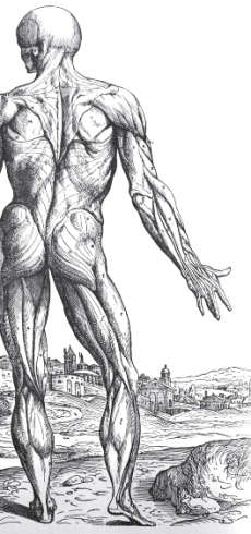 MEDICINA EM COIMBRA: NOTA HISTÓRICA E EVOCAÇÃO DA OBRA DE COSTA SIMÕES
