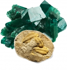 XXIII FEIRA INTERNACIONAL DE MINERAIS, GEMAS E FÓSSEIS DE COIMBRA