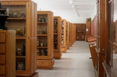 VISITA À GALERIA DE ANATOMIA PATOLÓGICA