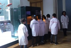 Escola Ciência Viva no Museu da Ciência da UC