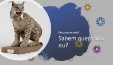 SABEM QUEM SOU EU?  DESAFIO 1