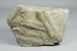 Bilobites - Cruziana goldfussi (Rouault, 1850) - MIN.003094 -  Dimensões 30x22x20 cm
