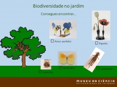 Atividade 1. Biodiversidade no jardim