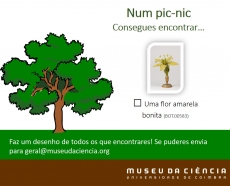 Atividade 9. Biodiversidade num  pic-nic