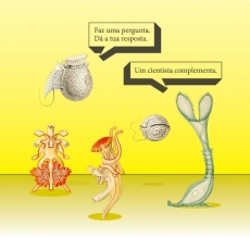 UM LIVRO SOBRE EVOLUÇÃO