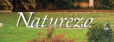 5. º FESTIVAL DAS ARTES