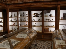 VISITAS À GALERIA DE ZOOLOGIA